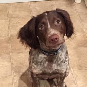 Meet your Posher, Marcia